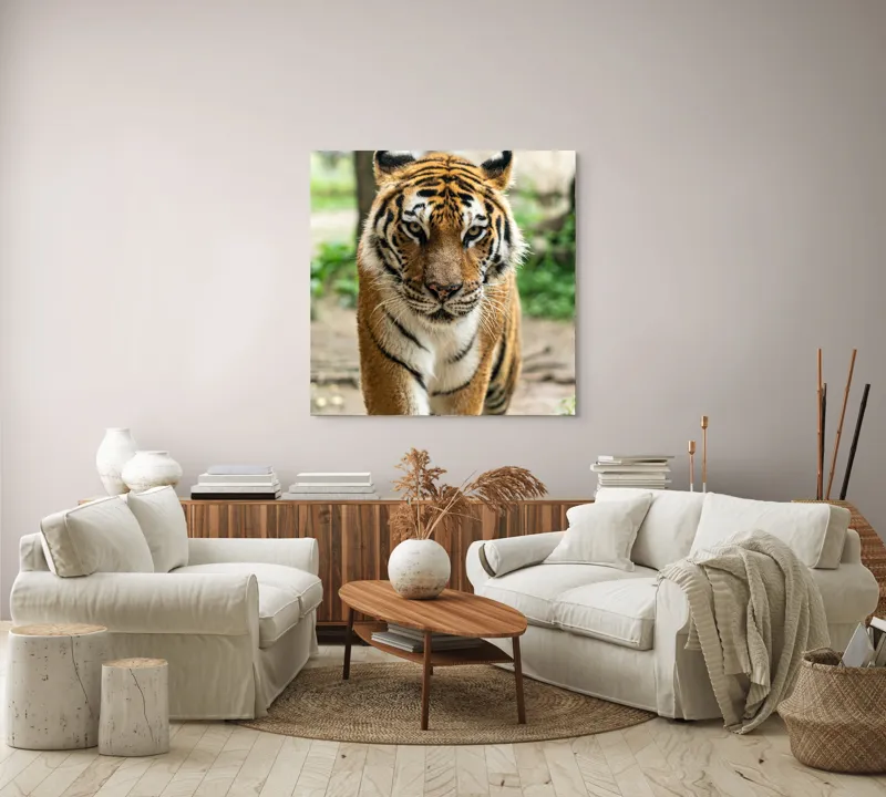 Tablou Canvas, "Tigrul în căutare de aventuri", 100 x 100 cm – poza 3
