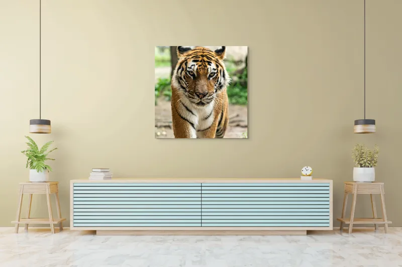 Tablou Canvas, "Tigrul în căutare de aventuri", 100 x 100 cm – poza 5