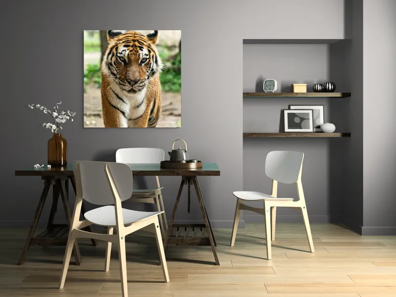 Tablou Canvas, "Tigrul în căutare de aventuri", 100 x 100 cm – poza 6