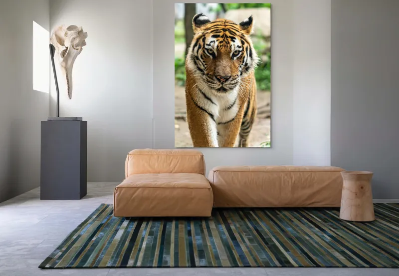 Tablou Canvas, "Tigrul în căutare de aventuri", 100 x 150 cm – poza 7