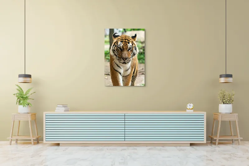 Tablou Canvas, "Tigrul în căutare de aventuri", 70 x 100 cm – poza 5