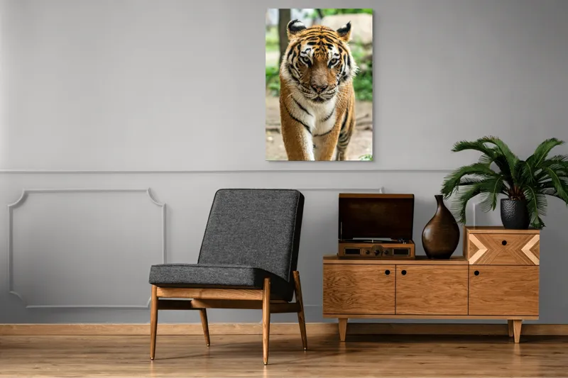 Tablou Canvas, "Tigrul în căutare de aventuri", 70 x 100 cm – poza 6