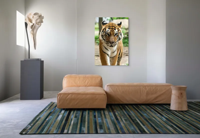 Tablou Canvas, "Tigrul în căutare de aventuri", 70 x 100 cm – poza 7