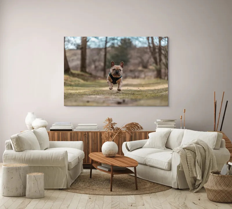 Tablou Canvas Natură Bulldog în pădure deasă Primăvară Energie, 150 x 100 cm – poza 3