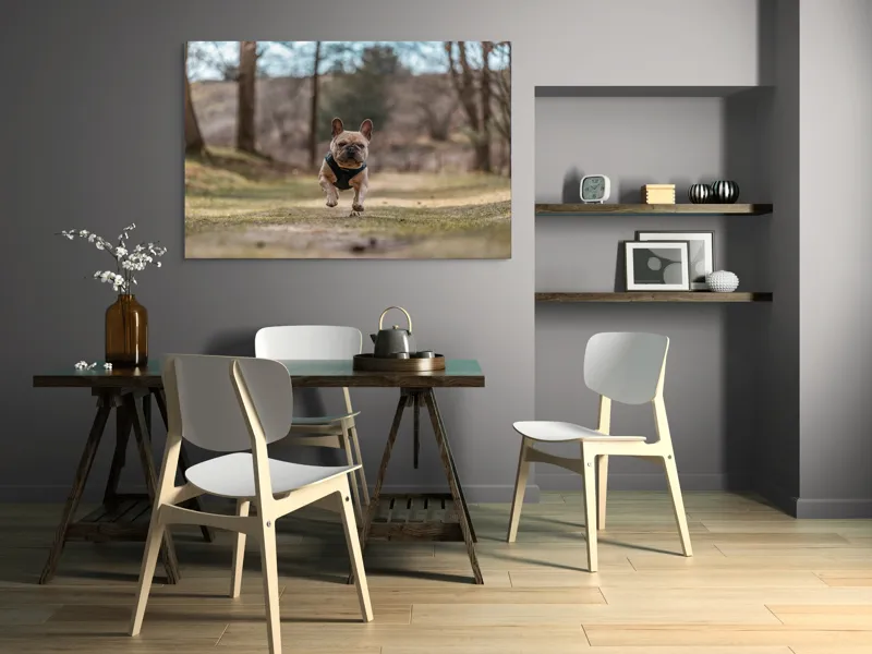 Tablou Canvas Natură Bulldog în pădure deasă Primăvară Energie, 150 x 100 cm – poza 5