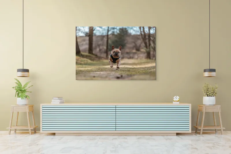 Tablou Canvas Natură Bulldog în pădure deasă Primăvară Energie, 150 x 100 cm – poza 6