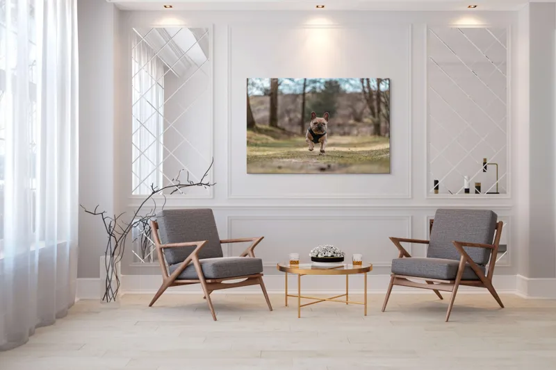 Tablou Canvas Natură Bulldog în pădure deasă Primăvară Energie, 150 x 100 cm – poza 7