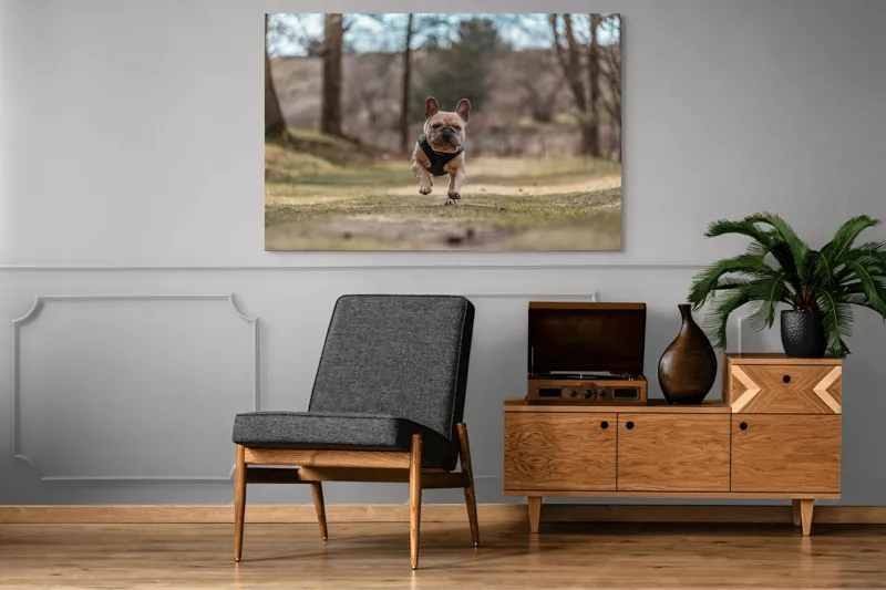 Tablou Canvas Natură Bulldog în pădure deasă Primăvară Energie, 150 x 100 cm – poza 8