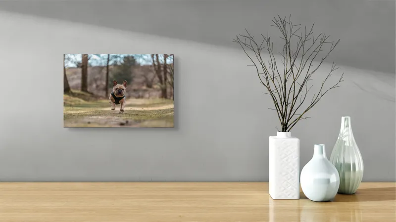 Tablou Canvas Natură Bulldog în pădure deasă Primăvară Energie, 39 x 26 cm – poza 8