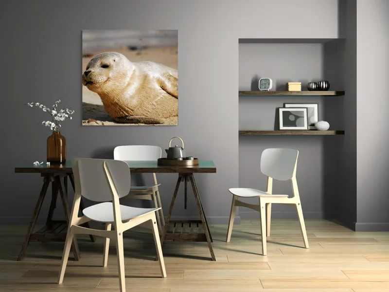 Tablou Canvas, "Focă odihnindu-se pe nisipul cald", 100 x 100 cm – poza 6
