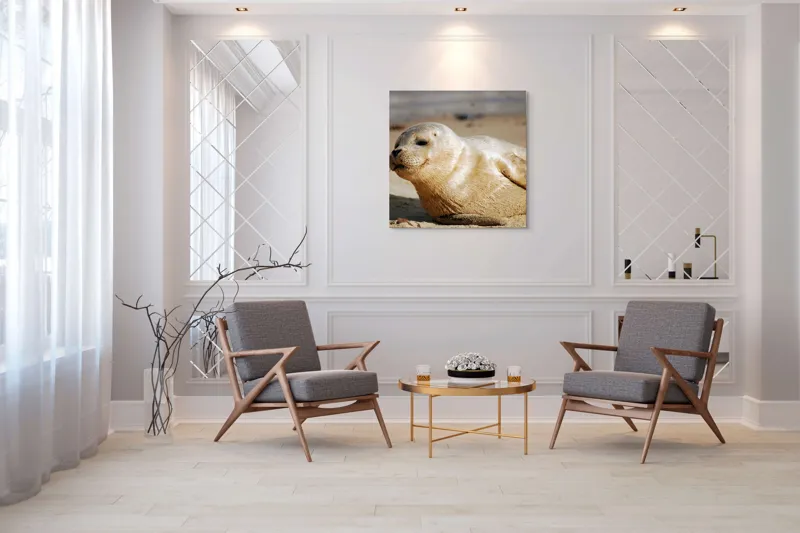 Tablou Canvas, "Focă odihnindu-se pe nisipul cald", 100 x 100 cm – poza 7