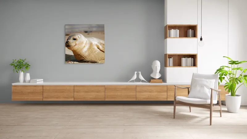 Tablou Canvas, "Focă odihnindu-se pe nisipul cald", 100 x 100 cm – poza 8