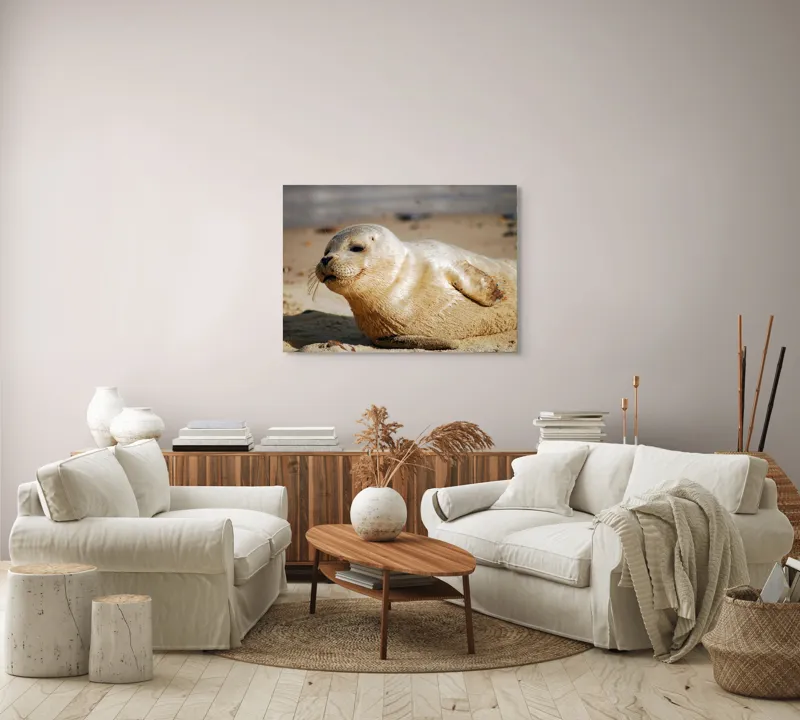 Tablou Canvas, "Focă odihnindu-se pe nisipul cald", 100 x 70 cm – poza 3