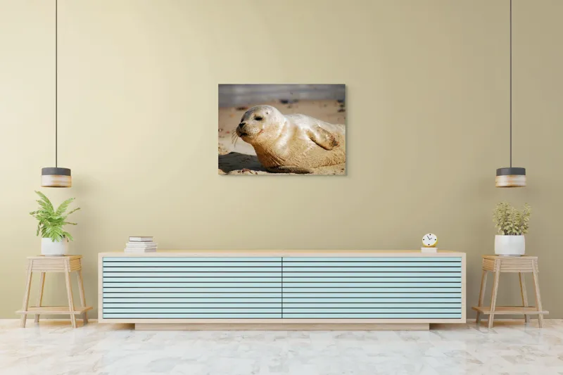 Tablou Canvas, "Focă odihnindu-se pe nisipul cald", 100 x 70 cm – poza 4