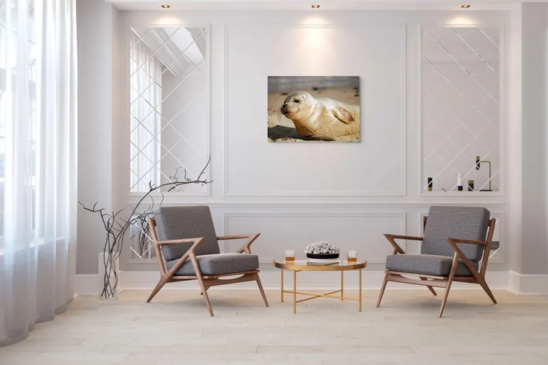 Tablou Canvas, "Focă odihnindu-se pe nisipul cald", 100 x 70 cm – poza 5