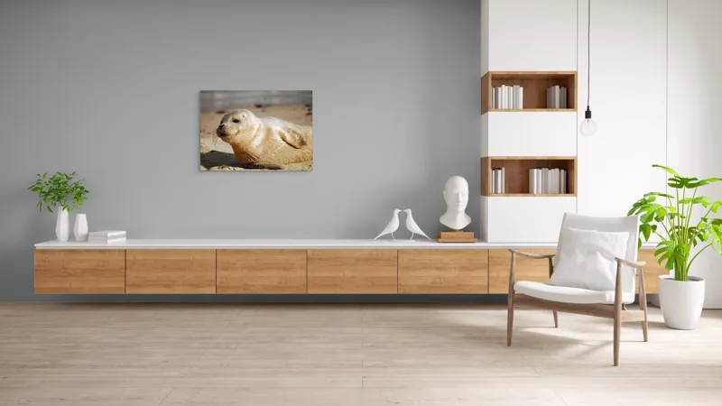 Tablou Canvas, "Focă odihnindu-se pe nisipul cald", 100 x 70 cm – poza 6