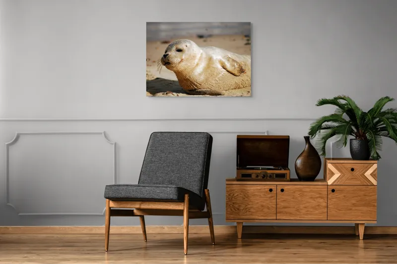 Tablou Canvas, "Focă odihnindu-se pe nisipul cald", 100 x 70 cm – poza 8