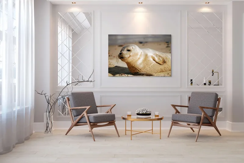 Tablou Canvas, "Focă odihnindu-se pe nisipul cald", 150 x 100 cm – poza 7