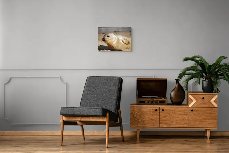 Tablou Canvas, "Focă odihnindu-se pe nisipul cald", 54 x 39 cm – poza 7