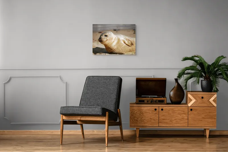 Tablou Canvas, "Focă odihnindu-se pe nisipul cald", 70 x 50 cm – poza 4