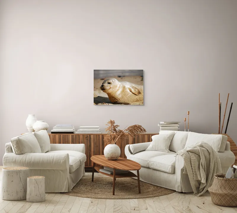 Tablou Canvas, "Focă odihnindu-se pe nisipul cald", 70 x 50 cm – poza 6