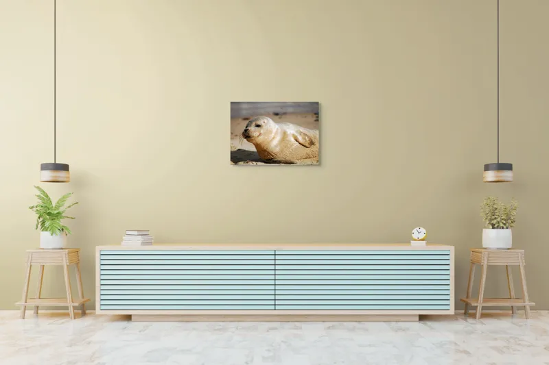 Tablou Canvas, "Focă odihnindu-se pe nisipul cald", 70 x 50 cm – poza 7