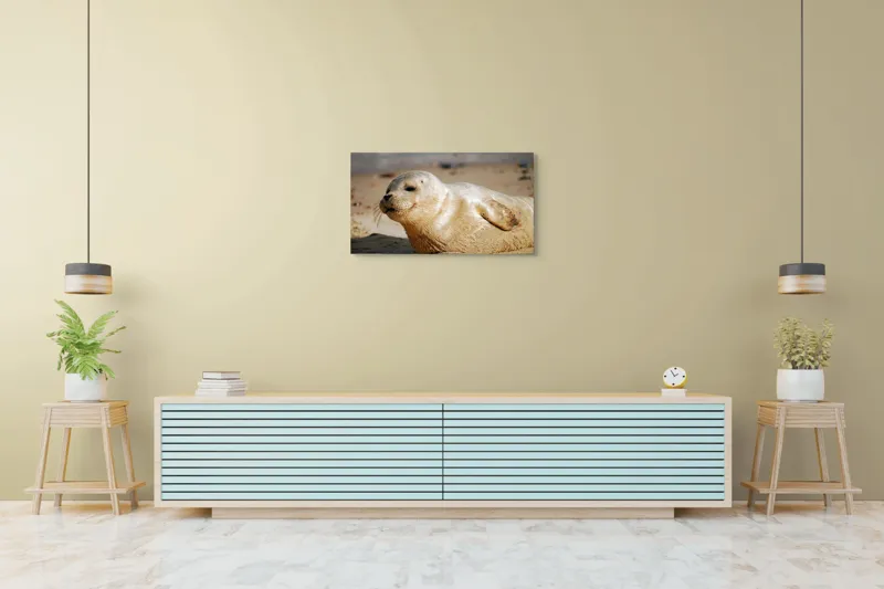 Tablou Canvas, "Focă odihnindu-se pe nisipul cald", 90 x 50 cm – poza 5