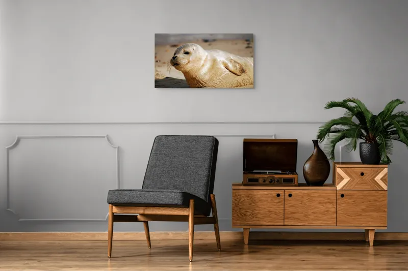 Tablou Canvas, "Focă odihnindu-se pe nisipul cald", 90 x 50 cm – poza 6