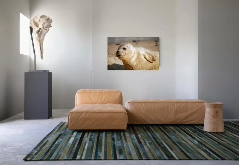 Tablou Canvas, "Focă odihnindu-se pe nisipul cald", 90 x 50 cm – poza 8