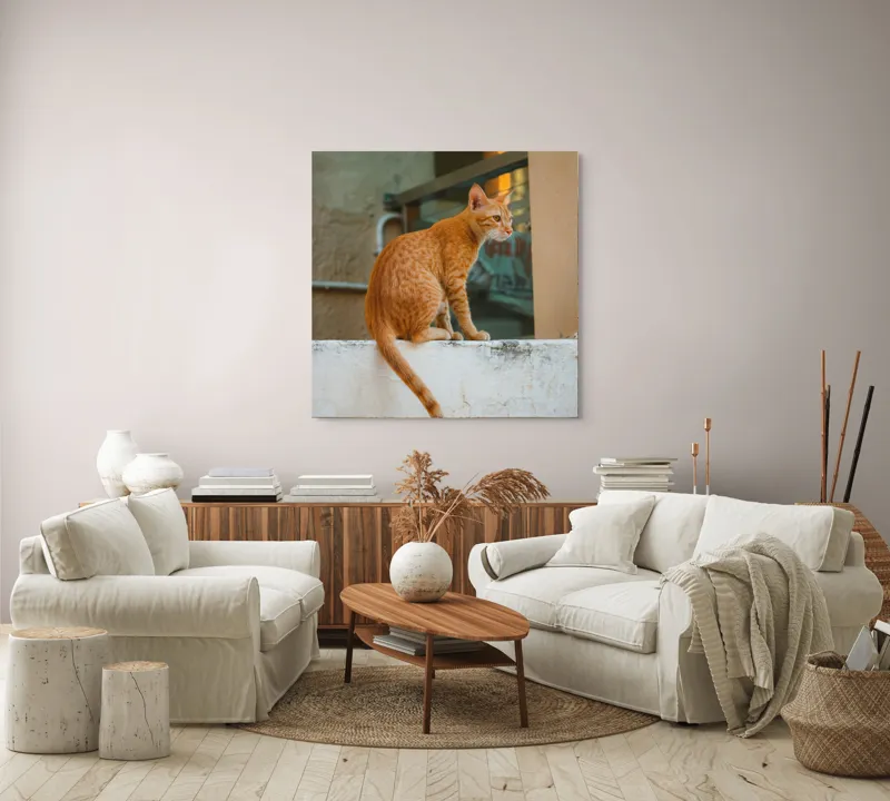 Tablou Canvas, "Pisică portocalie privind orizontul liniștit", Pisică, Portocalie, Zid, Exterior, Contemplare, Relaxare, Seninătate, Mustăți, Urechi, Cozi, Urban, Texturi, 100 x 100 cm – poza 3