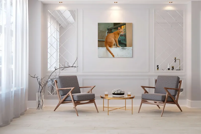 Tablou Canvas, "Pisică portocalie privind orizontul liniștit", Pisică, Portocalie, Zid, Exterior, Contemplare, Relaxare, Seninătate, Mustăți, Urechi, Cozi, Urban, Texturi, 100 x 100 cm – poza 7