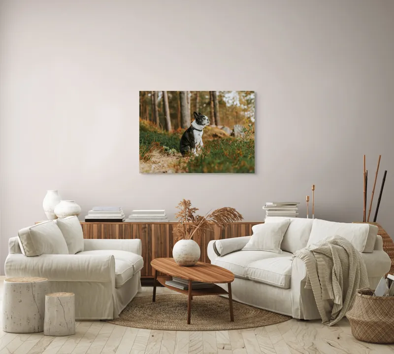 Tablou Canvas, "Boston Terrier contemplând în pădurea deasă", Câine, Pădure, Toamnă, Liniște, Natură, Blană, Verde, Copaci, Relaxare, Meditație, 100 x 70 cm – poza 3