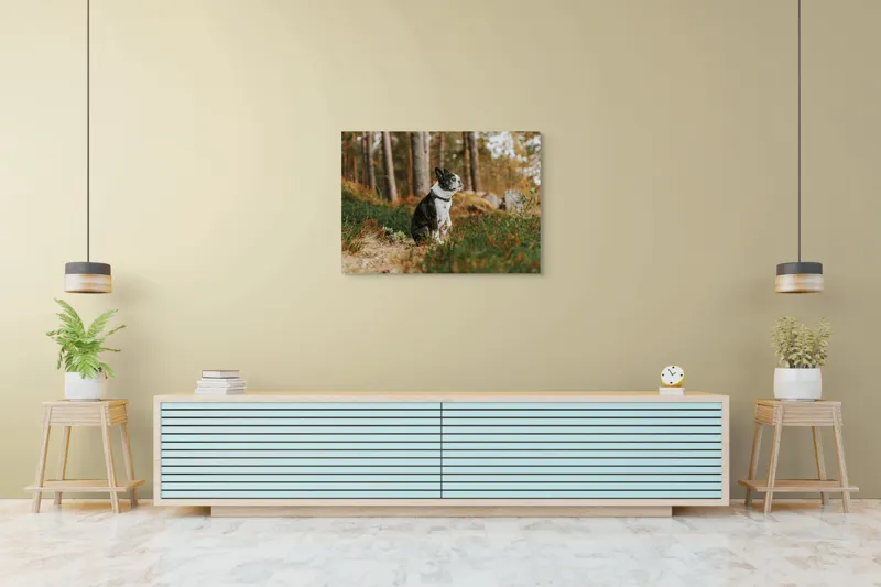 Tablou Canvas, "Boston Terrier contemplând în pădurea deasă", Câine, Pădure, Toamnă, Liniște, Natură, Blană, Verde, Copaci, Relaxare, Meditație, 100 x 70 cm – poza 4