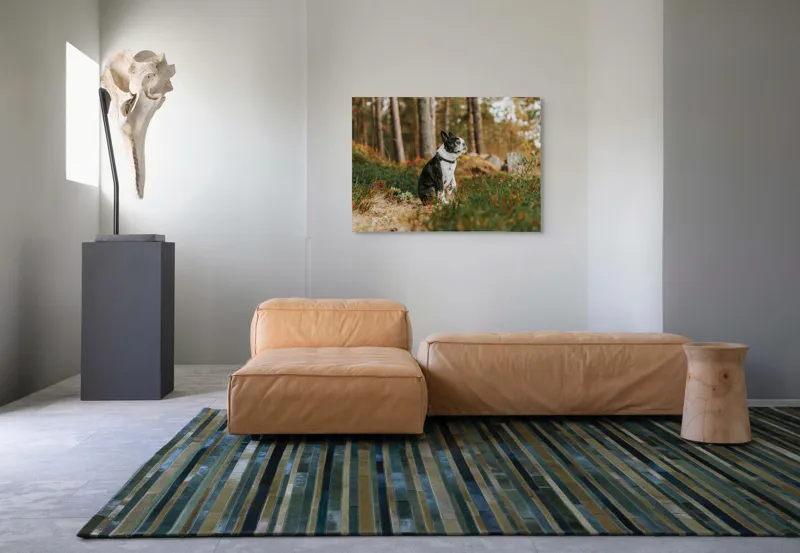 Tablou Canvas, "Boston Terrier contemplând în pădurea deasă", Câine, Pădure, Toamnă, Liniște, Natură, Blană, Verde, Copaci, Relaxare, Meditație, 100 x 70 cm – poza 7