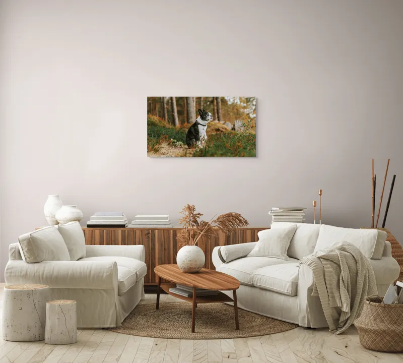 Tablou Canvas, "Boston Terrier contemplând în pădurea deasă", Câine, Pădure, Toamnă, Liniște, Natură, Blană, Verde, Copaci, Relaxare, Meditație, 90 x 50 cm – poza 4