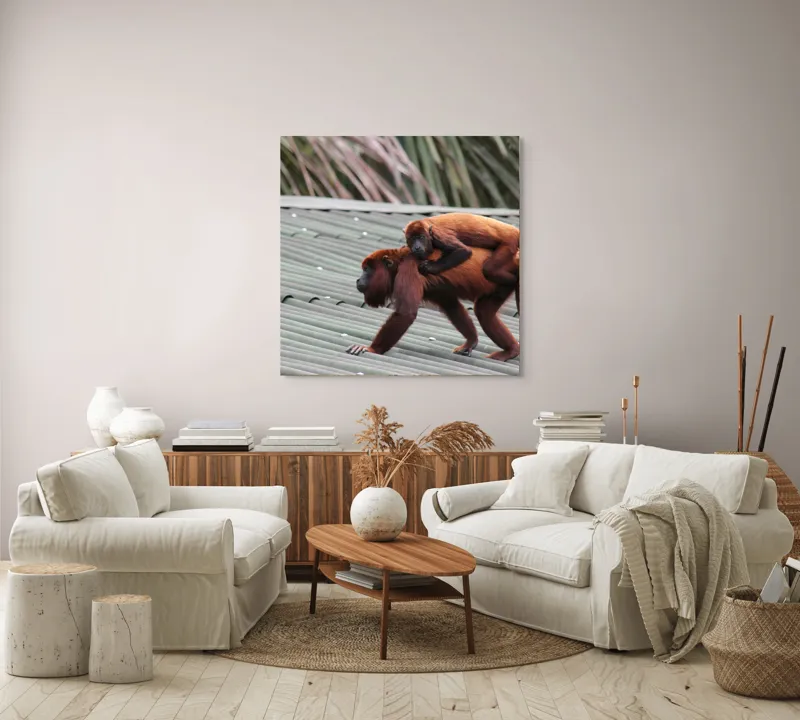 Tablou Canvas, "Maimuțe traversând acoperișul împreună", 100 x 100 cm – poza 3