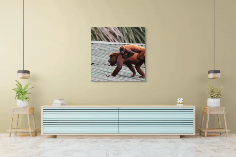 Tablou Canvas, "Maimuțe traversând acoperișul împreună", 100 x 100 cm – poza 5