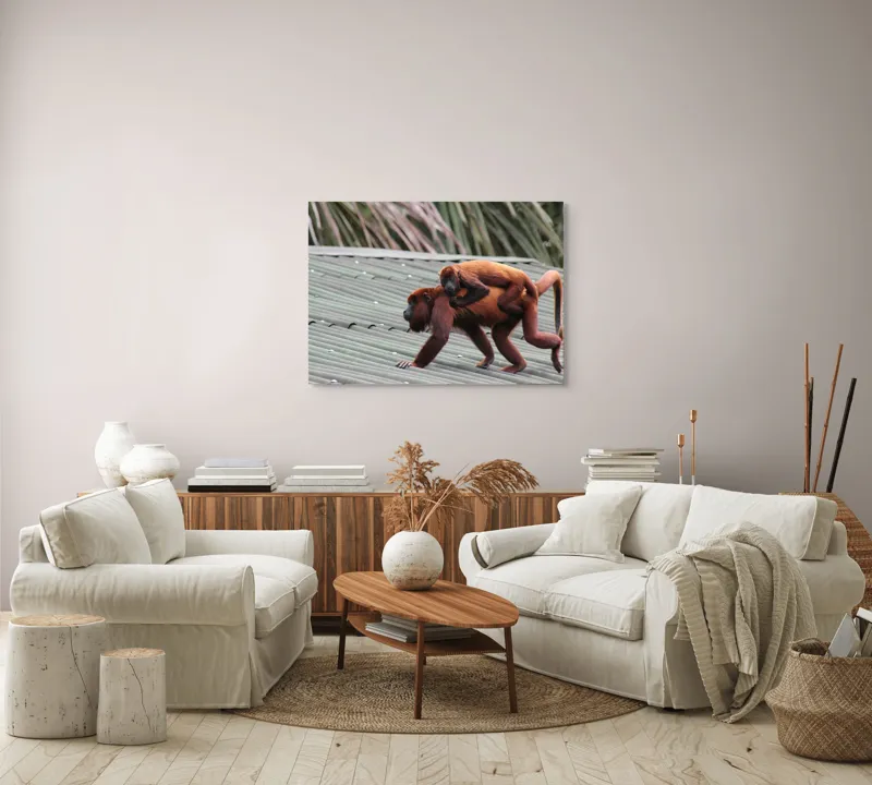 Tablou Canvas, "Maimuțe traversând acoperișul împreună", 100 x 70 cm – poza 3