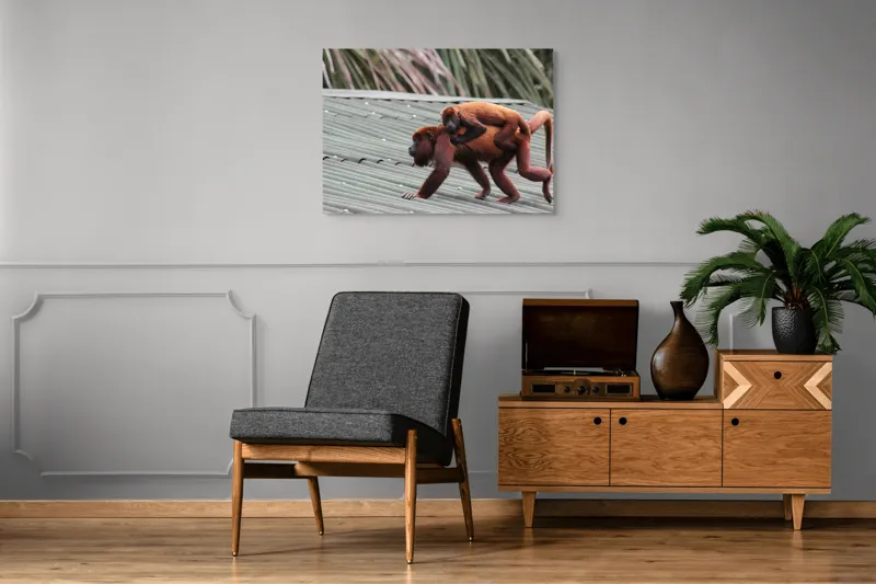Tablou Canvas, "Maimuțe traversând acoperișul împreună", 100 x 70 cm – poza 8