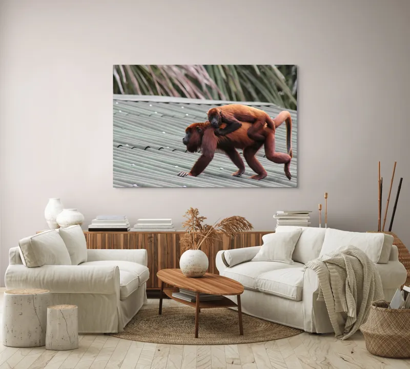 Tablou Canvas, "Maimuțe traversând acoperișul împreună", 150 x 100 cm – poza 3