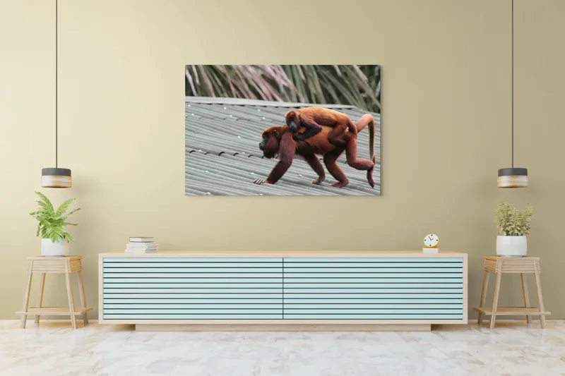 Tablou Canvas, "Maimuțe traversând acoperișul împreună", 150 x 100 cm – poza 6