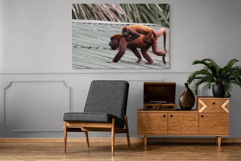 Tablou Canvas, "Maimuțe traversând acoperișul împreună", 150 x 100 cm – poza 8