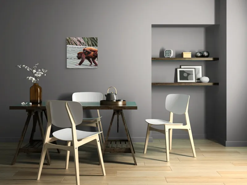 Tablou Canvas, "Maimuțe traversând acoperișul împreună", 50 x 50 cm – poza 8