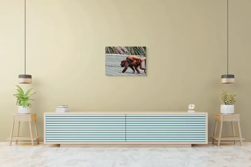 Tablou Canvas, "Maimuțe traversând acoperișul împreună", 70 x 50 cm – poza 7