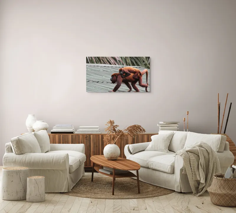 Tablou Canvas, "Maimuțe traversând acoperișul împreună", 90 x 50 cm – poza 4