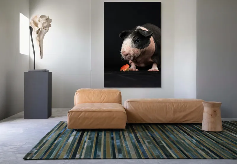 Tablou Canvas, "Porcușorul curios și felia de măr", 100 x 150 cm – poza 7