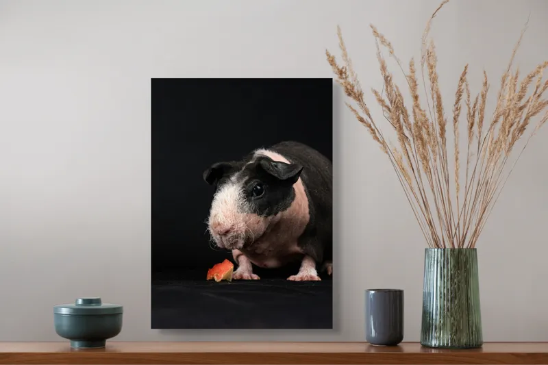 Tablou Canvas, "Porcușorul curios și felia de măr", 39 x 54 cm – poza 3
