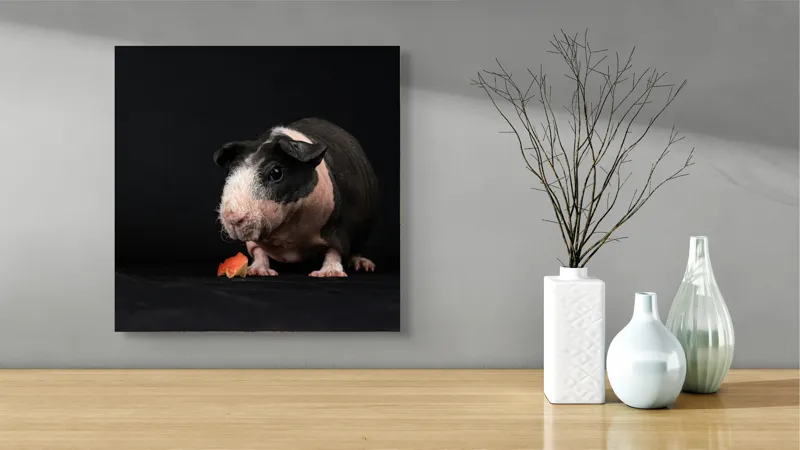 Tablou Canvas, "Porcușorul curios și felia de măr", 50 x 50 cm – poza 3