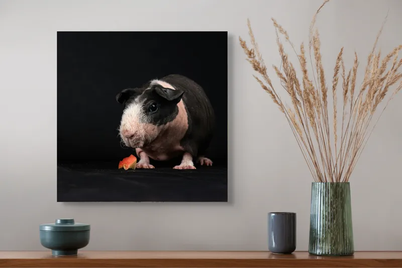 Tablou Canvas, "Porcușorul curios și felia de măr", 50 x 50 cm – poza 4