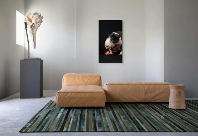 Tablou Canvas, "Porcușorul curios și felia de măr", 50 x 90 cm – poza 5